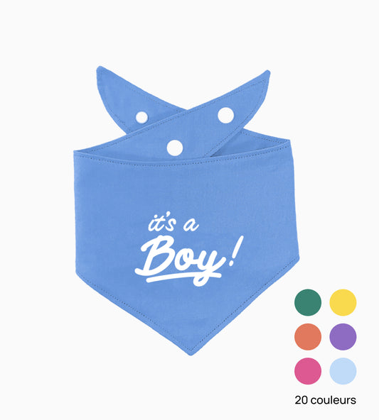 Bandana pour chien personnalisé - It's a Boy!