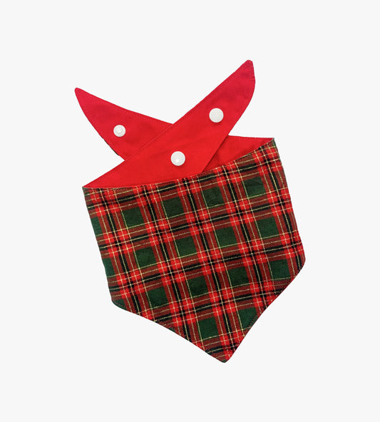 Bandana de Noël pour chien réversible - Sage presque toute l'année