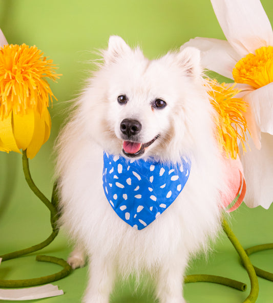 Bandana pour chien personnalisé - Dreamy