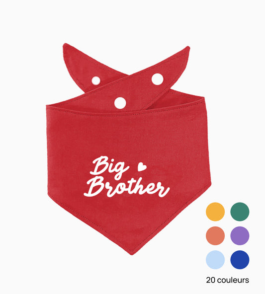 Bandana pour chien personnalisé - Big Brother