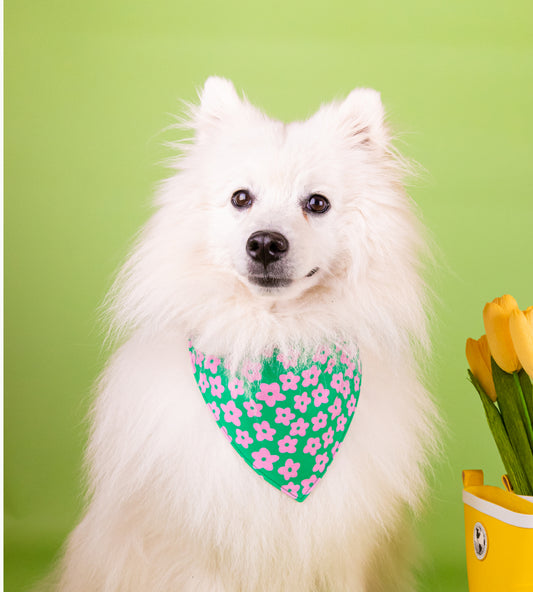 Bandana pour chien - Flower
