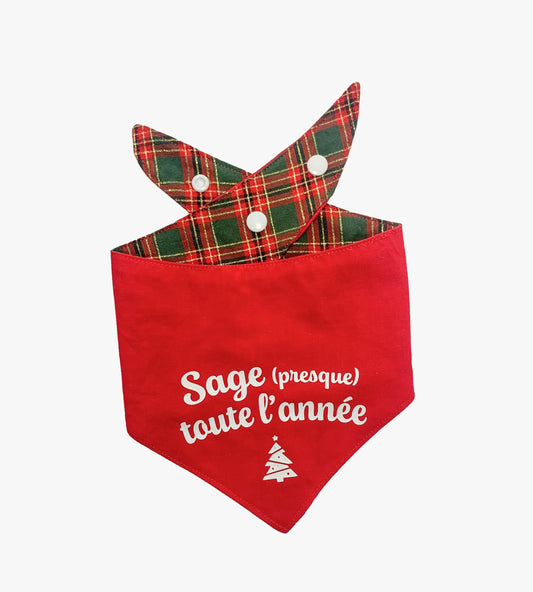 Bandana de Noël pour chien réversible - Sage presque toute l'année