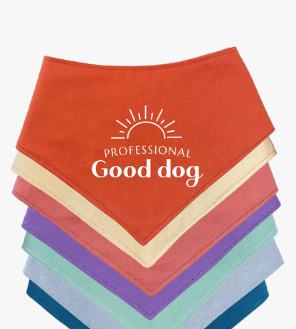 Bandana pour chien personnalisé - Professional Good dog